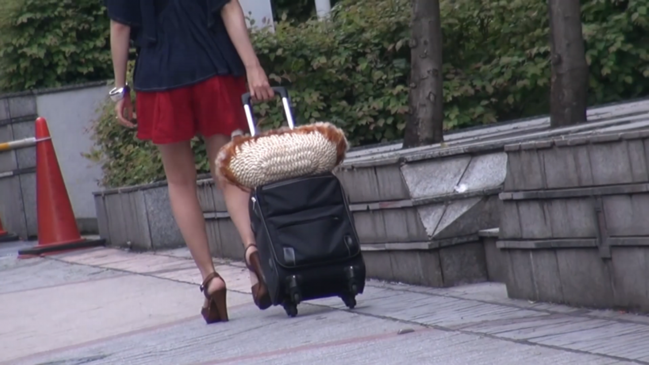 【初回限定価格】本能むき出し性欲爆発！旅行先ナンパでsex三昧！乱れる姿、旦那には見せられない！　その4 gallery photo 1