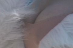 [ 個撮][HD]超エロいコスプレイヤー♡胸元はだけｗ谷間ブラチラ乳首ぽっちまですげえｗｗｗ