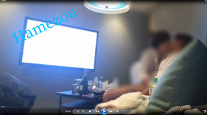 ハメぞう蔵出し秘蔵動画 某地下アイドルとのはめはめ ソファで騎乗位ほか 編