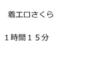 着エロイメージ動画 サクラ 1時間15分