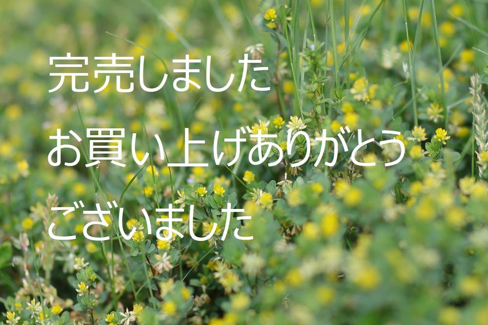 KAYOちゃんの着衣でくぱぁ♡#1【5セット限定追加・フルサイズ画像79枚・特典付き】