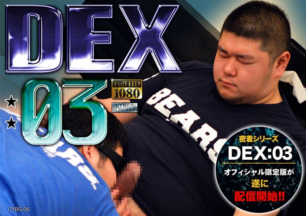 DEX:03〜デカチン兄弟の不純性交尾〜　HD版（56min）