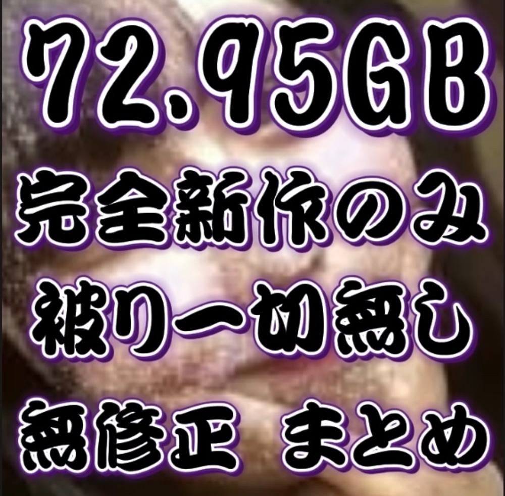 先着1280pt【72.95GB】完全新作のみ　被り一切なし　無修正まとめ【本日限定】