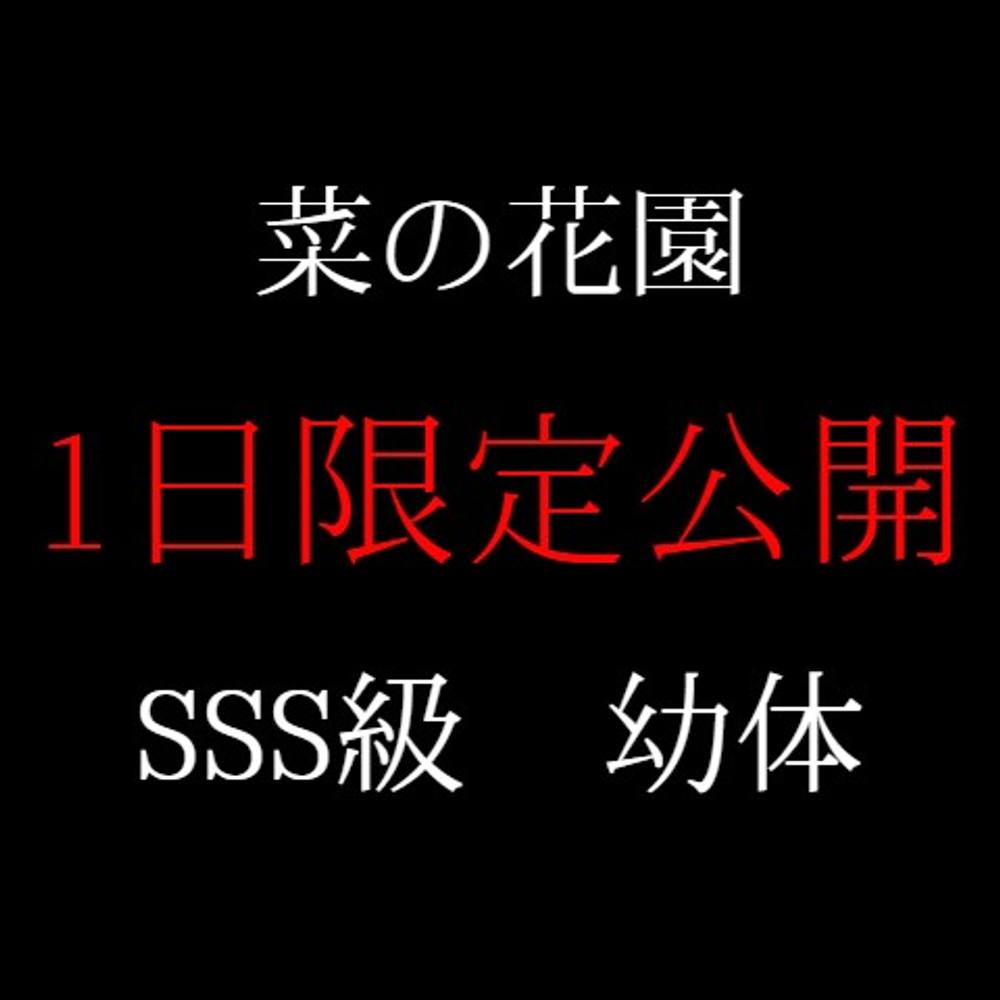 ※新春初売り【衝撃映像公開】SSS級子体。強制処女喪失の一部始終です。「本物」のハメ撮りと天使はここに。（2時間超え高画質特典送付）