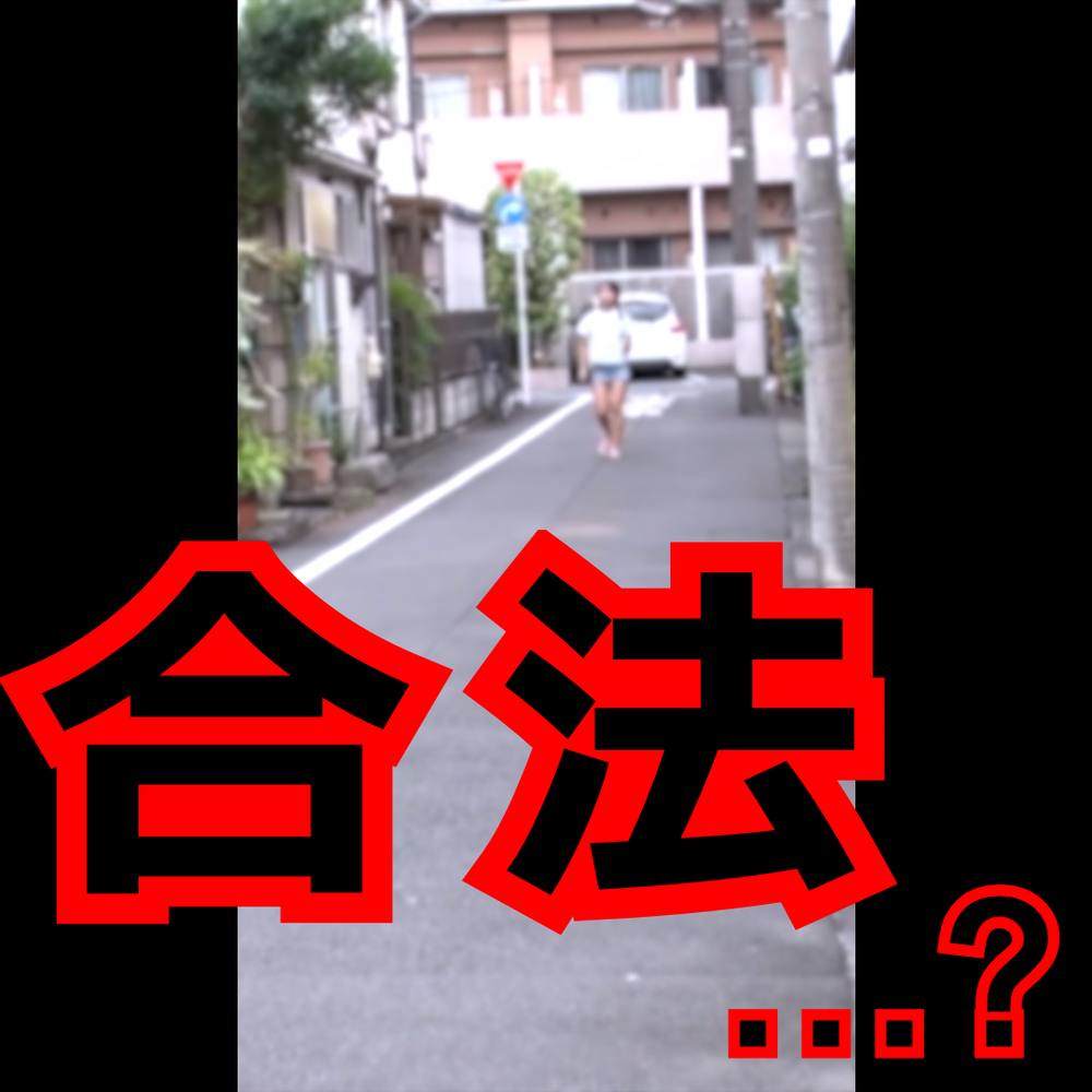 【合法/...?】都内18歳。年不相応の西〇屋ファッション、サイズ合ってない。拒否懇願無視し大量種付け。【⚠取扱注意⚠】