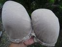 [Mischief] The sober beige bra worn by the beautiful wife who is proud of her senior is a round D cup bra ...