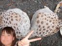 [Mischief] The cute girl who is proud of her friend was wearing a leopard print bra ...
