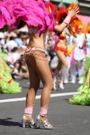 Samba Dancer 2010-1