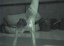 Sukesuke rhythmic gymnastics