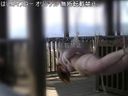 【個人撮影】パイパン珀18才／初めての白昼野外露出