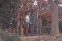 【Personal shooting at the scene of blue rape】Couple playing outdoors in the forest! Gutsy hidden shooting success!