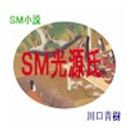 SM 소설 "SM 광원"(키리츠보 ~ 아카시)