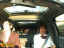 TD-0206 With Home Delivery Wisetsu In-Car Massage ...