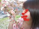 Cherry blossom time Momo Yagami Photo book PDF download available 338 images