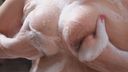 極端乳房性工作者 [1] 新大久保 BBW 桃井胸圍 112cm （G）