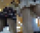 [High image quality] Tremendous burst! !! Ultimate Series II + III.+ Two Simultaneous Upside-Down Eska Voices Headshot Set