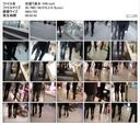 【Limited Quantity】City Shooting Beauty 049 "Black Hiramini Escalator"