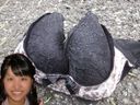 [Mischief] The cute senior who was an honor student was surprisingly wearing a leopard print D cup bra ...