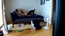 An amateur couple who have sex cramped while surrounded by two beloved dogs on the bed w