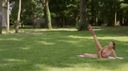 【公園裸露】暴露狂女神作品的最終版本，一個開朗的西方美女在森林中的自然公園裡赤身裸體伸展雙腿！