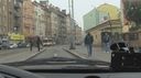 CZECH STREETS 70 – VERONIKA