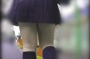 [Gal's panchira] White futomomo and navy blue socks extending from a navy blue skirt!