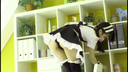 【Maid】 【Beauty】Mikako, a beautiful maid who is not on good terms with the butler. In order for the two to get along, I decided to have sex in front of the butler and have the butler see it www