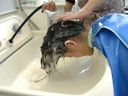 Taste Club Hair Wash No.020 Hair Wash + Shave Mai Asagiri