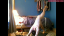 Pleasant boy! Naked yoga / open masturbation