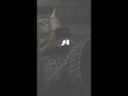 Masturbation completely caught! I almost got caught! 20 guests