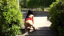 [Personal shooting] Menhera sister with long black hair masturbates in broad daylight in broad daylight, and even ... 【Smartphone】