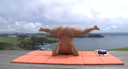 Outdoor Naked Yoga