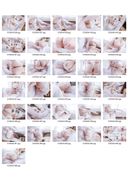 【Personal Photography】 【3K】Chinese Beautiful Girl Photo Collection [Amateur] 040_66 photos