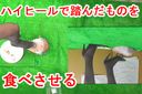Rui-sama walks trampling on the "floor man" who has become a part of the floor with his entire weight on his face!