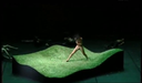 【成人劇場】日本女性主演的裸體表演