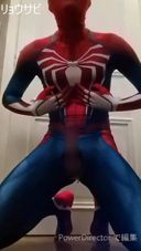 Nothing) Superhero Foolishness Spider-Man Style Edition