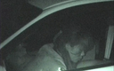 Hidden Camera Infrared Car Sex 34