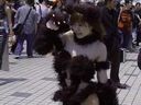 【Outdoor / Exposure】 Cosplay Paradise! Hidden at Comiket! Take a close look at cosplay and underwear! ③
