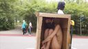 Limit exposure challenge, passing naked through a densely populated park.
