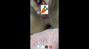 【None】Show me masturbation with video call (smartphone app)