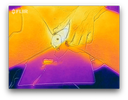 Ejaculation seen with a thermal camera