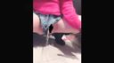 Masturbation video (5) Assortment of books Part (5) ♬17 minutes ☆ Squirting ☆ Shaved ☆ Many ups etc. ☆