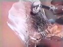 [20 세기 비디오] 옛날 그리움의 뒤 영상 ☆ 파이 빵 만개 간호사 코스 씨의 작지만 아름다운 면도가 시작됩니다 ☆ 옛날 작품 "모자 나시"발굴 영상 일본 빈티지