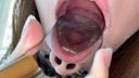 【個人撮影】爬虫類顔したセフレの歯観察＆鉛筆かじり　みつき【Y-170】