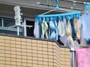 【下着の洗濯物】女性宅のベランダに干してある無防備で丸見えでパンティやブラジャー