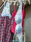 【內衣洗衣】未受保護且完全可見的內褲和胸罩掛在女人家的陽臺上