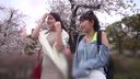 ★ Get a drunken duo near the cherry blossom viewing venue! Ahea Cherry Blossom Festival EV134