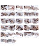 【Personal Photography】 【3K】Chinese Beautiful Girl Photo Collection [Amateur] 048_62 photos