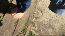 【Completely barefoot】I walked barefoot in the park! part2