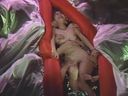 【VIP】 Madonna's Body Anatomy Ryuka Fujiki